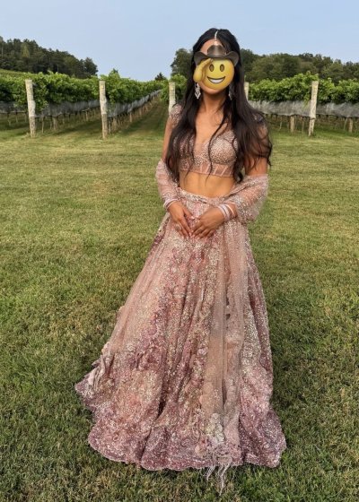 Dolly J Pink Sparkly Lehenga 