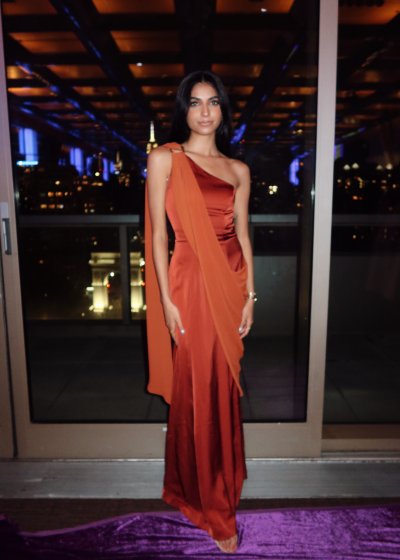 UNAVAILABLE - Terracotta Amara Sari Gown