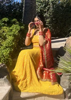 Yellow Mirrored Lehenga