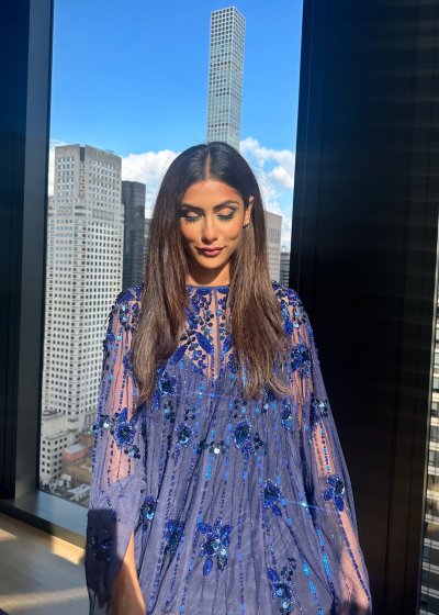 Sheer Blue Embroidered Dress