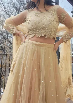 Taupe Lehenga Set - hover