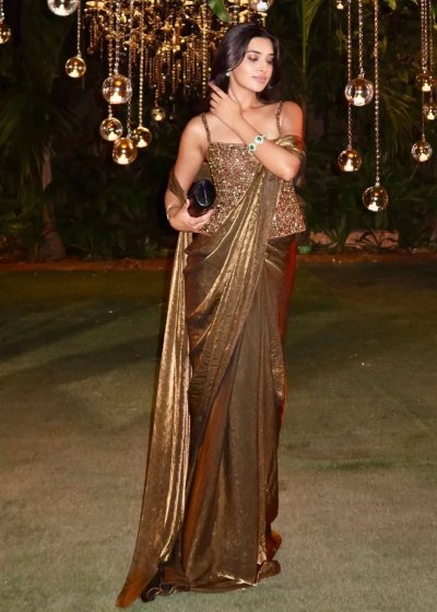 Bronze Pre-Draped Sari