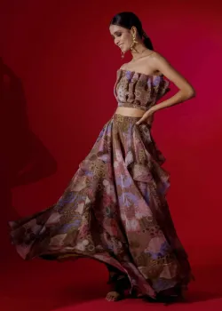 Printed Organza Skirt Set