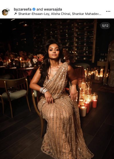 Nude Embellished Pre-Draped Sari