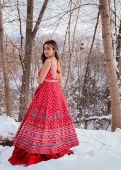 Red Floral Anarkali - hover