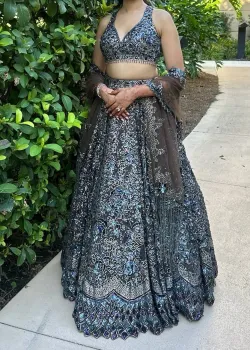 Brown and Blue Embellished Lehenga - hover