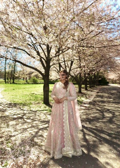 Pink Embroidered Lehenga Choli