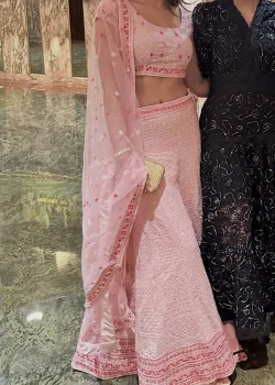Two-Toned Pink Lehenga - hover