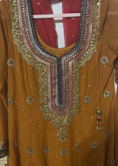 Rust Orange Embroidered Anarkali