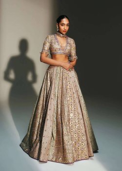 Noorah Lehenga - hover