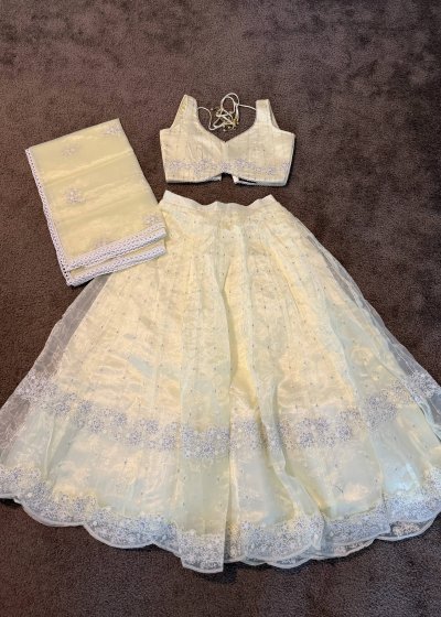 Pastel Mint Green Lehenga