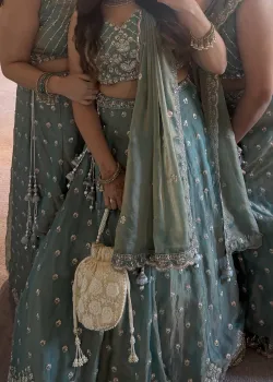 Sky Blue Embroidered Lehenga - hover