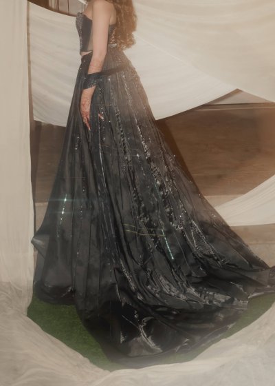 Navy Blue Swan Print Lehenga