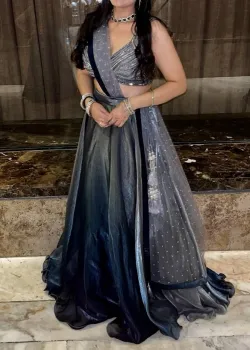 Gray Ombre Metallic Lehenga