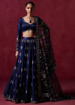 Navy Embroidered Lehenga