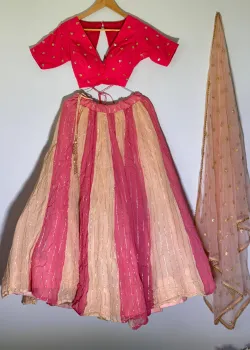 Pink and Gold Striped Lehenga