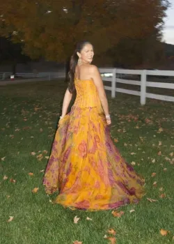 Disha Corset Gown