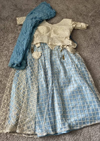 Baby Blue Embellished Lehenga