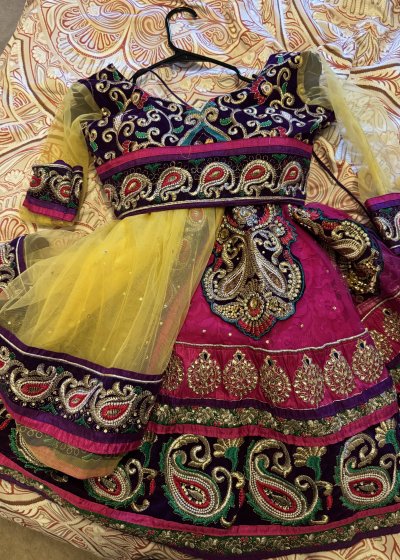 Multicolor Paisley Embroidered Lehenga