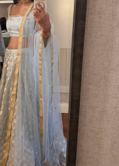Baby Blue Gold Embroidered Lehenga