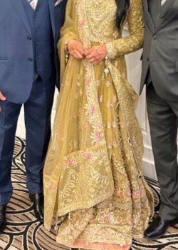 Olive Green Embroidered Gown