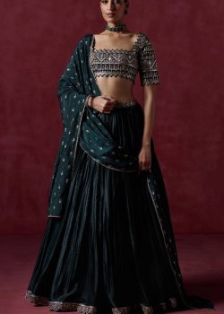 Green Embroidered Lehenga - hover