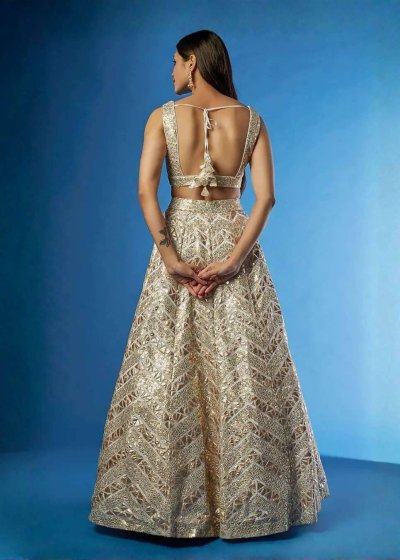 Gold Net Embroidered Lehenga