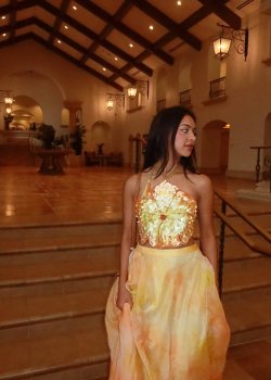 Soleil Lehenga - hover