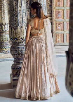 Beige Sequin Lehenga - hover