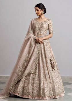 Blush Pink Embellished Lehenga
