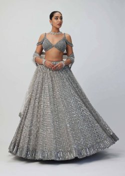 Silver Embellished Lehenga - hover