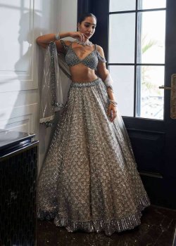 Silver Embellished Lehenga