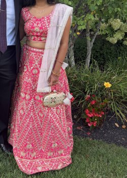 Rani Pink Embroidered Lehenga
