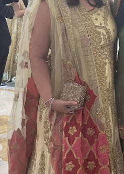 Gold and Red Anarkali
