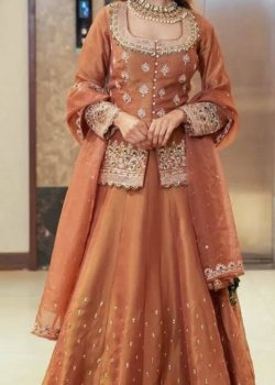 Orange Embroidered Anarkali