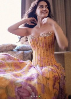 Disha Corset Gown