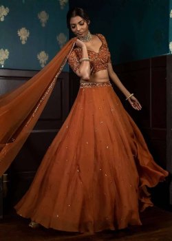 Rust Orange Organza Lehenga Set
