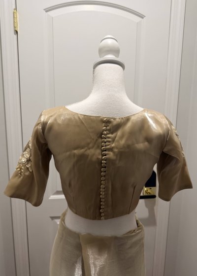 Champagne Organza Floral Appliqué Sari
