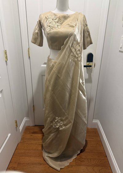 Champagne Organza Floral Appliqué Sari