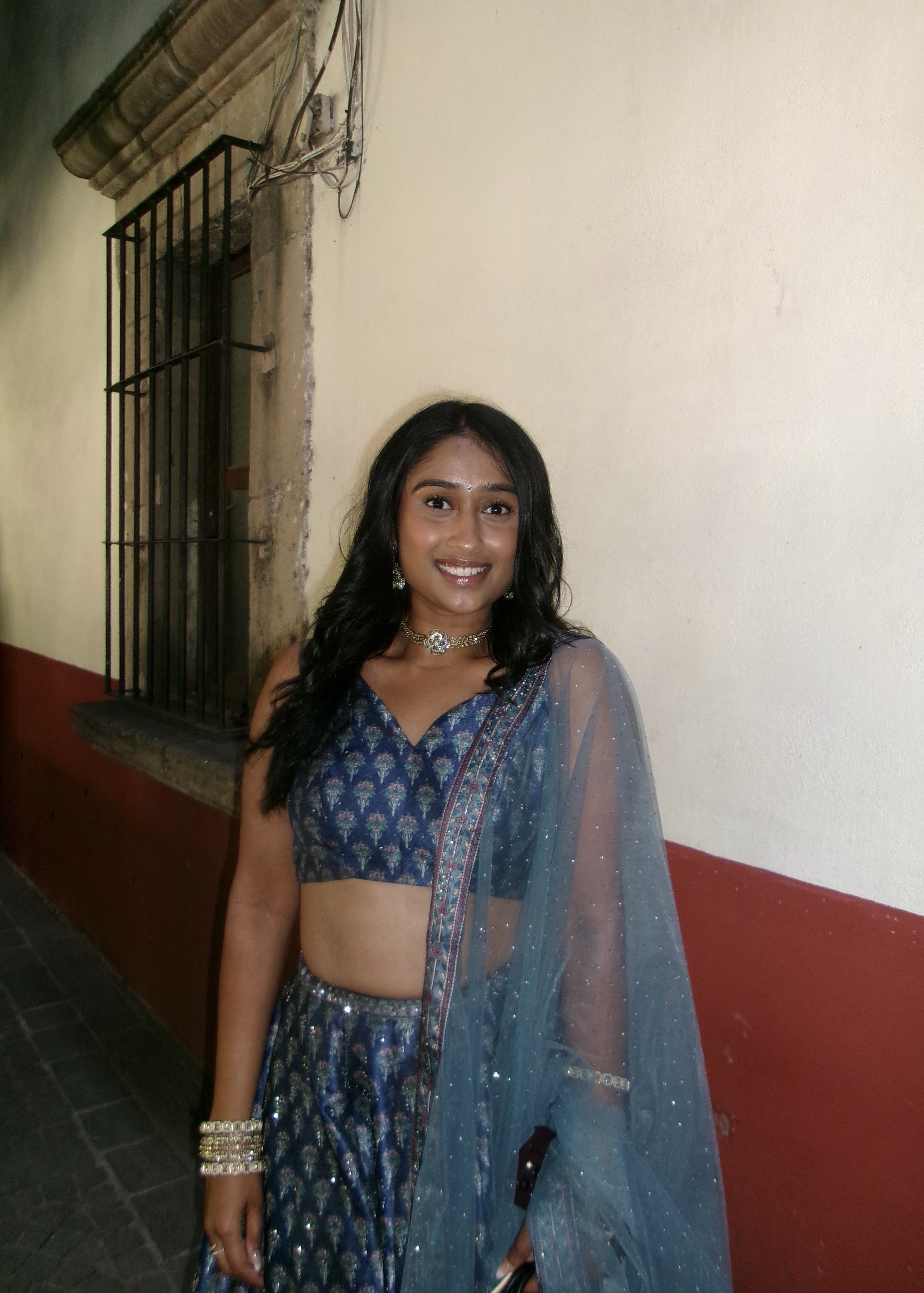 Navy Blue Banarasi Lehenga Image - 3