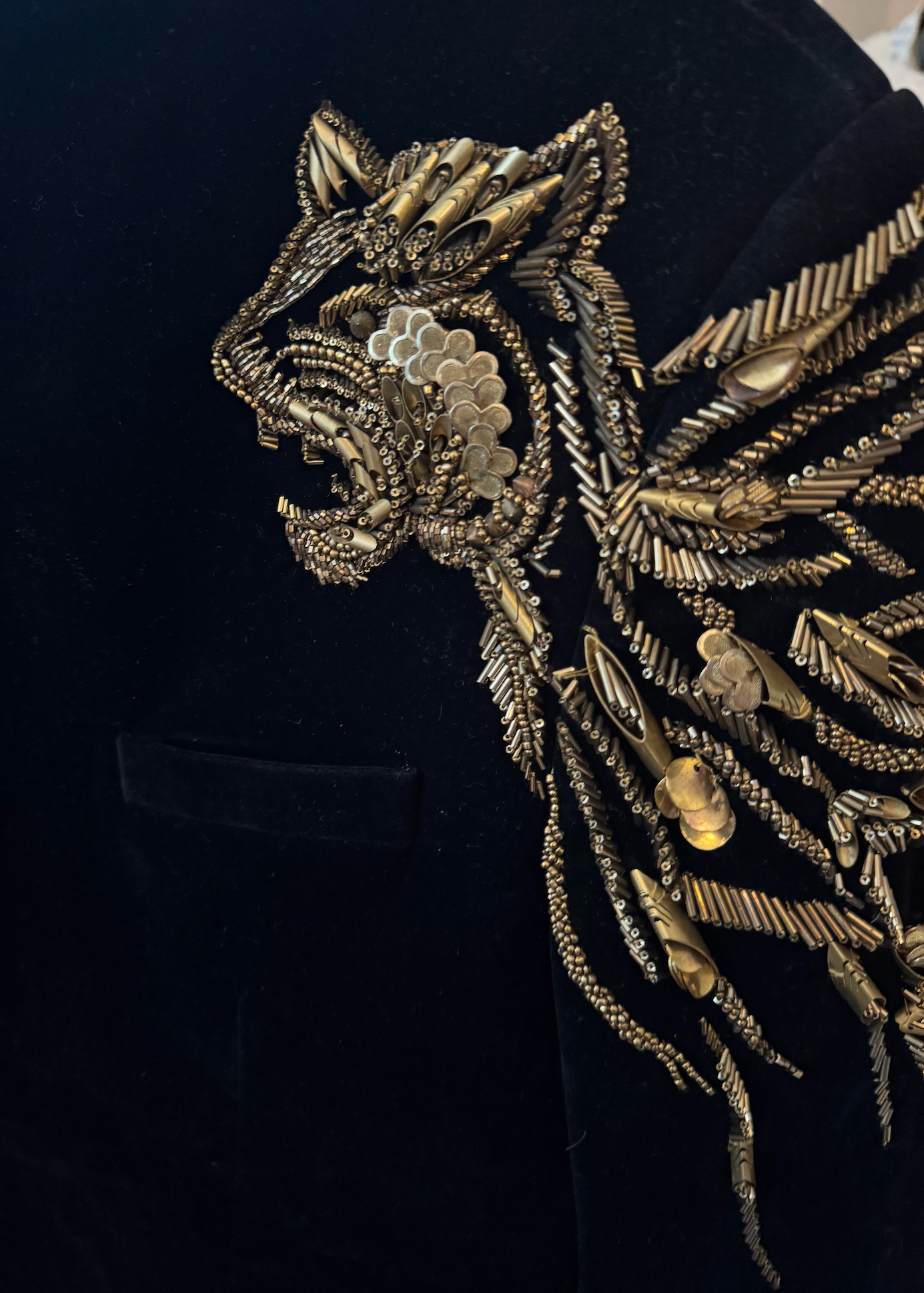Silk Velvet Gold Lion Embroidered Jacket Image - 1