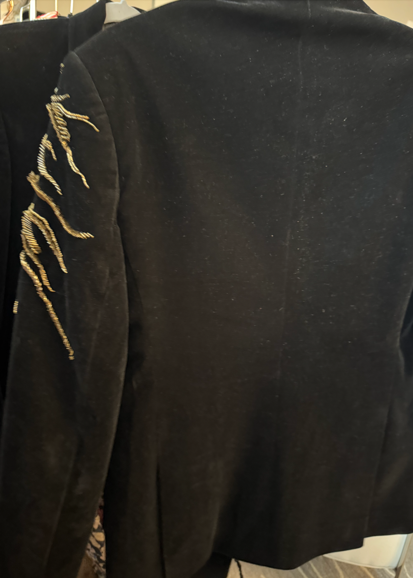 Silk Velvet Gold Lion Embroidered Jacket Image - 3