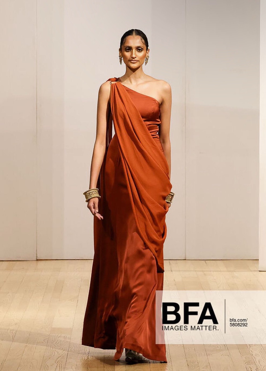 UNAVAILABLE - Terracotta Amara Sari Gown Image - 1