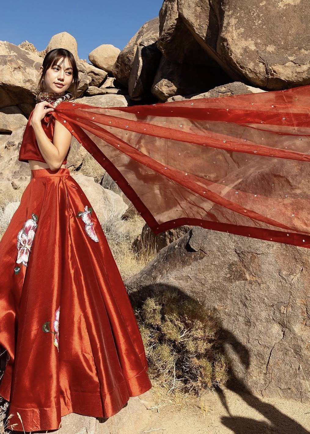 Red Handpainted Lehenga Set Image - 6