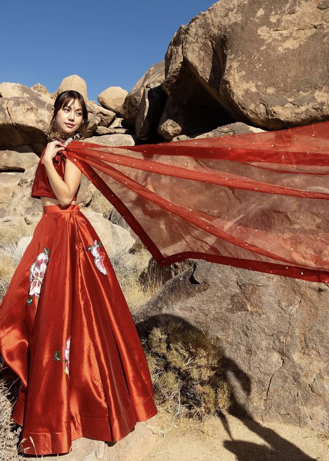 Red Handpainted Lehenga Set Image - 3