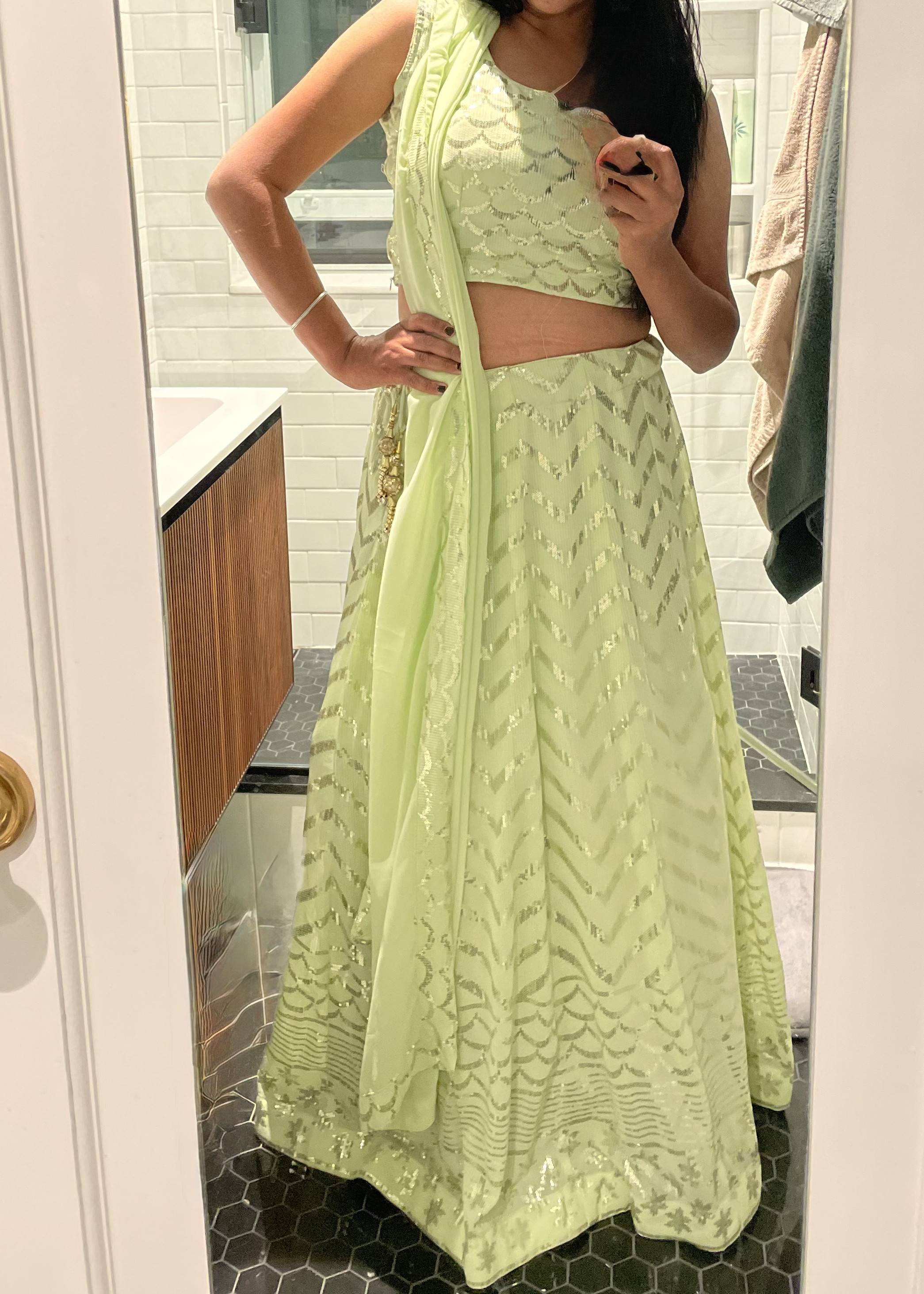 Light Green Lehenga Image - 0