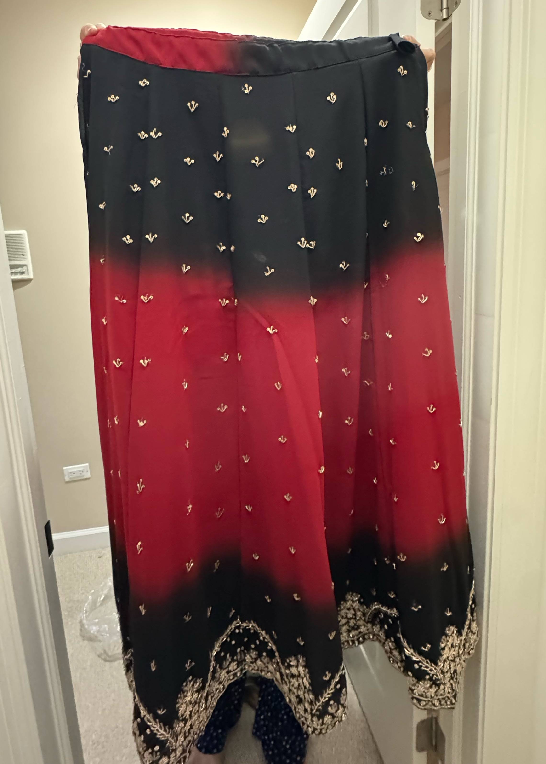 Black & Red Zari Lehenga Image - 4