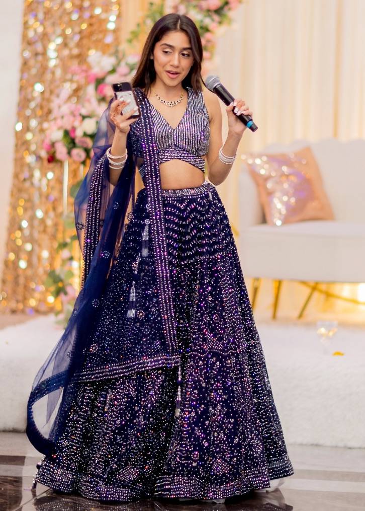 Navy Embellished Lehenga Image - 0