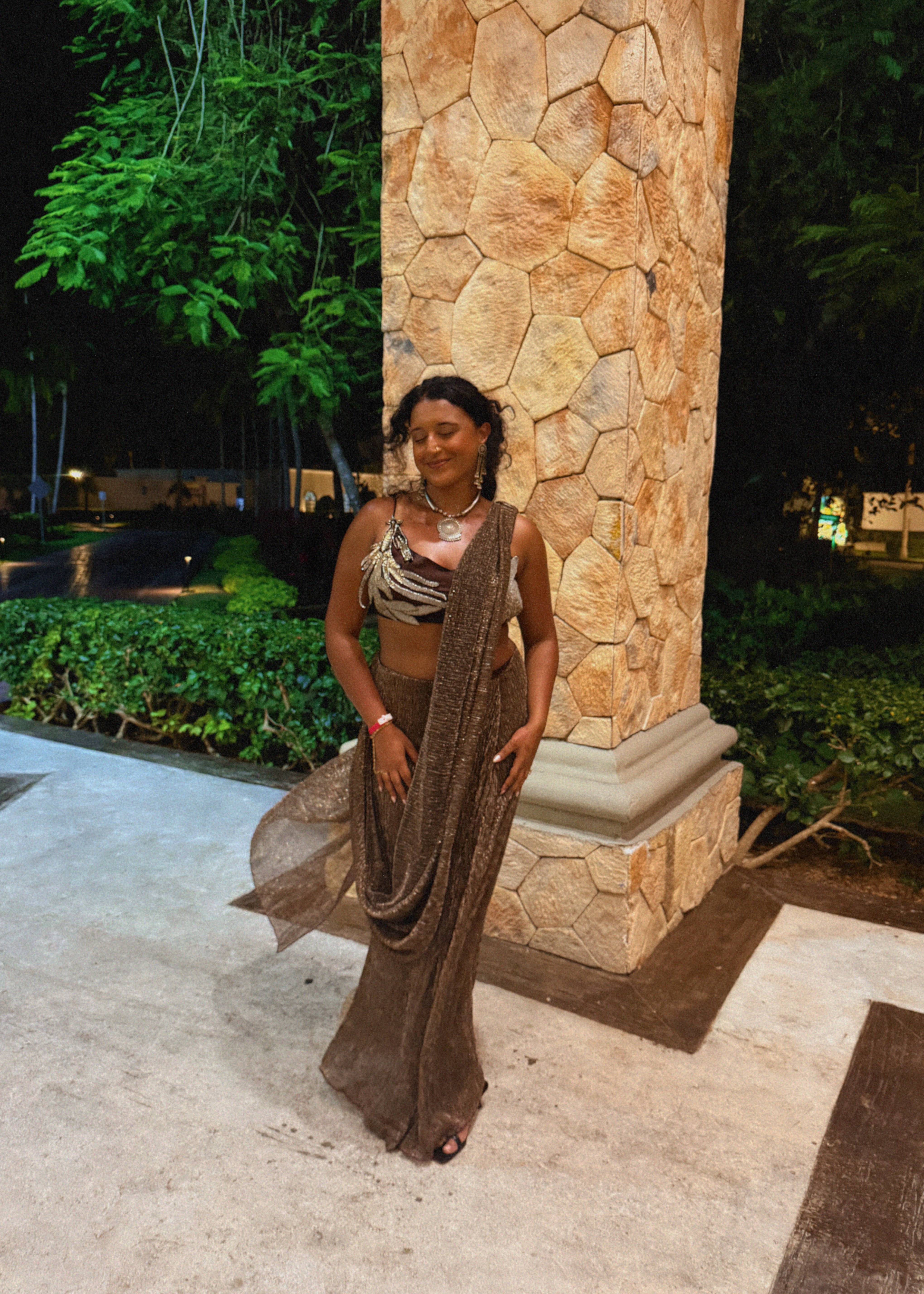 Brown Shimmer Mermaid Pre-Drape Sari Image - 1