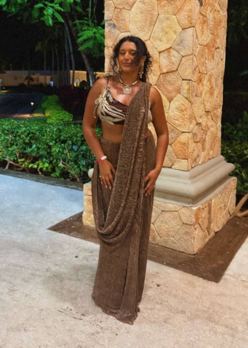 Brown Shimmer Mermaid Pre-Drape Sari Image - 0